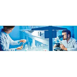 Formulation development