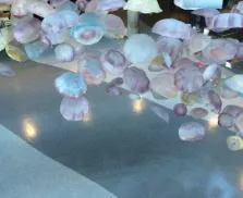 DYMAFLAKE