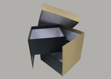 Rigid Box