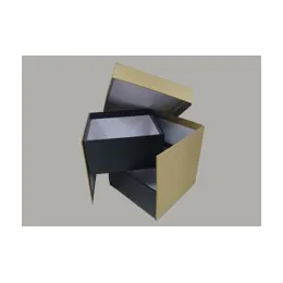 Rigid Box