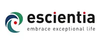 CMC Process Development