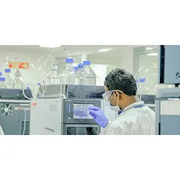 CMC Process Development