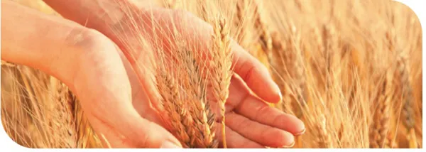GEP Efficacy Trials