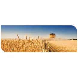 Seed Treatment