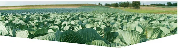 Eurofins Agro