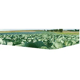 Eurofins Agro