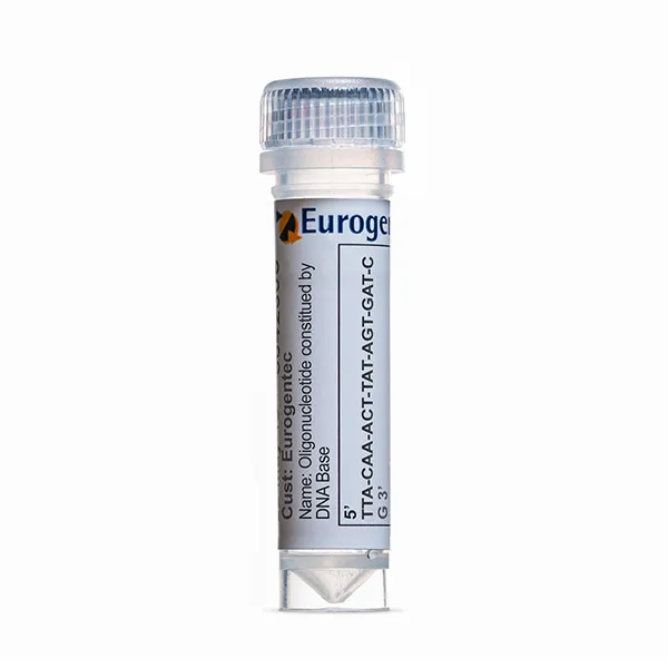 DNA Base - 1 base