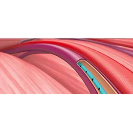 surface-modification-technologies