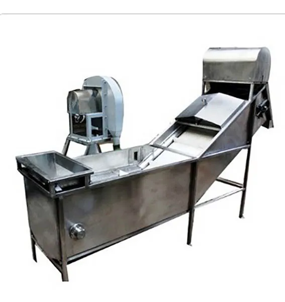 Fruit Washer