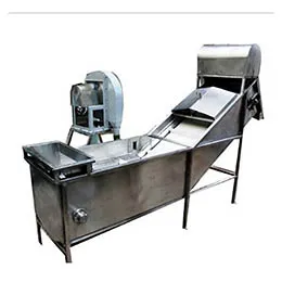 Fruit Washer