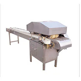 Blanching Machine
