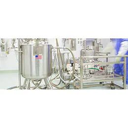 CGMP PROCESS DEVELOPMENT