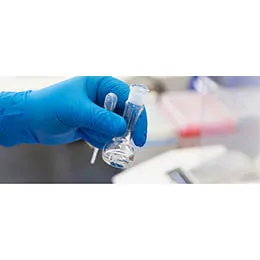 FORMULATION DEVELOPMENT