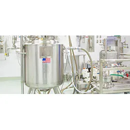 PROCESS SCALE-UP