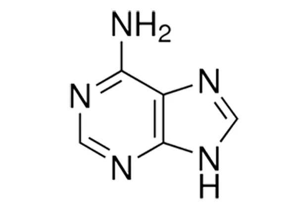 Adenine USP