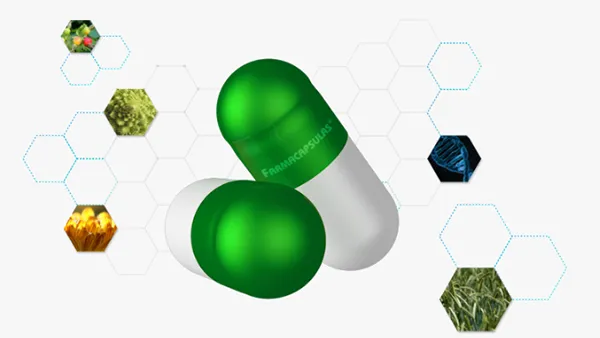 Vegetable capsules KCAPS
