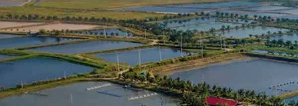 Aquaculture Specialties