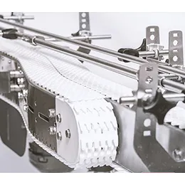 Plastic chain conveyor