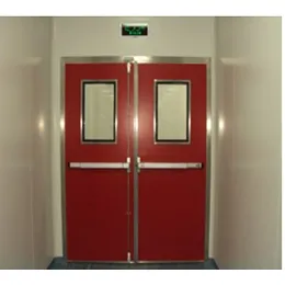 CLEAN ROOM DOORS