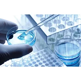 In vitro ADME