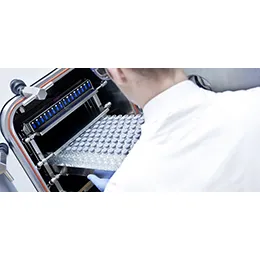 Freeze-Drying Cycle Development