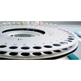 Solid State Characterization of Freeze-Dried Products