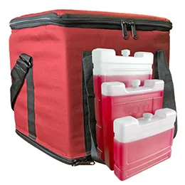 Medicine Travel Bags