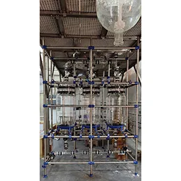 Glass Reactor