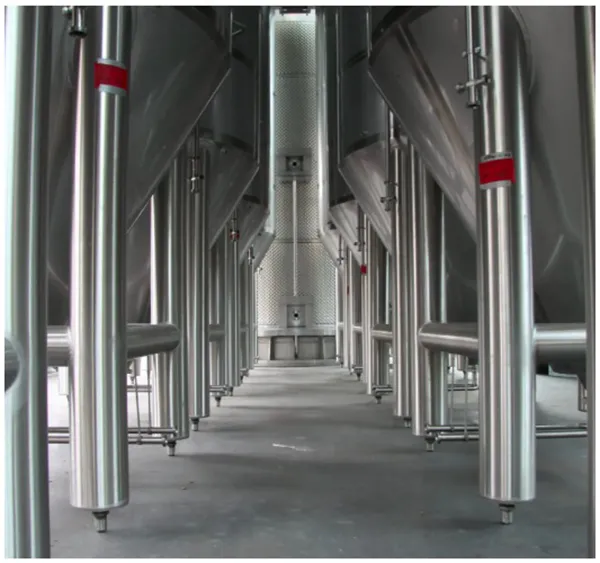 Cylindrical conical fermentation tanks