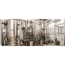 PHARMACEUTICAL FORMULATIONS INTERMEDIATES
