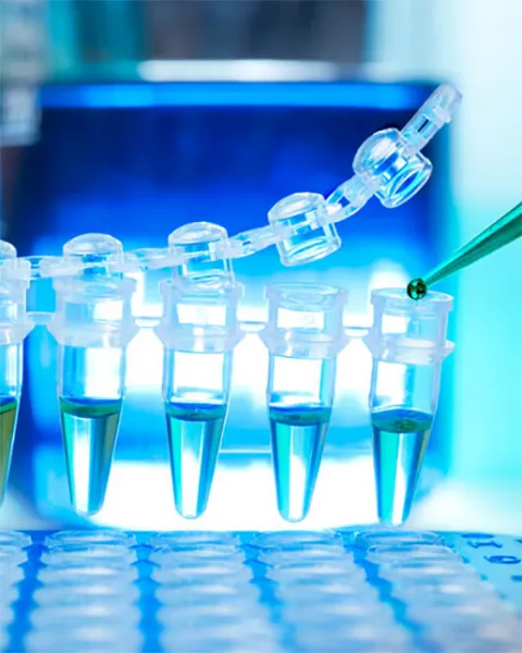 Nucleic Acid Release Buffer
