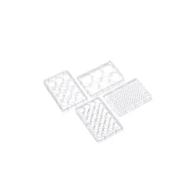 Cell Culture