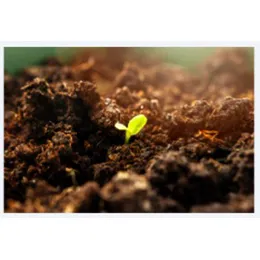 Compostable labels