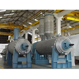 Rotary Vacuum Paddle Dryers