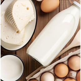 Dairy & Eggs Industry