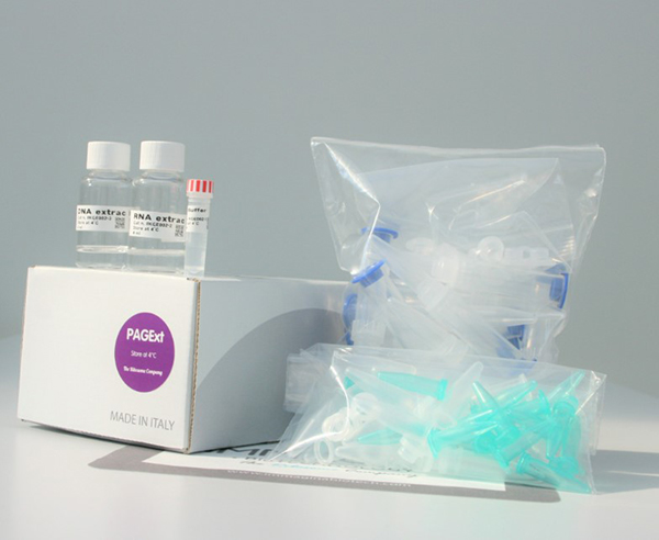 PAGE Gel Extraction Kit