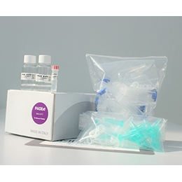 PAGE Gel Extraction Kit