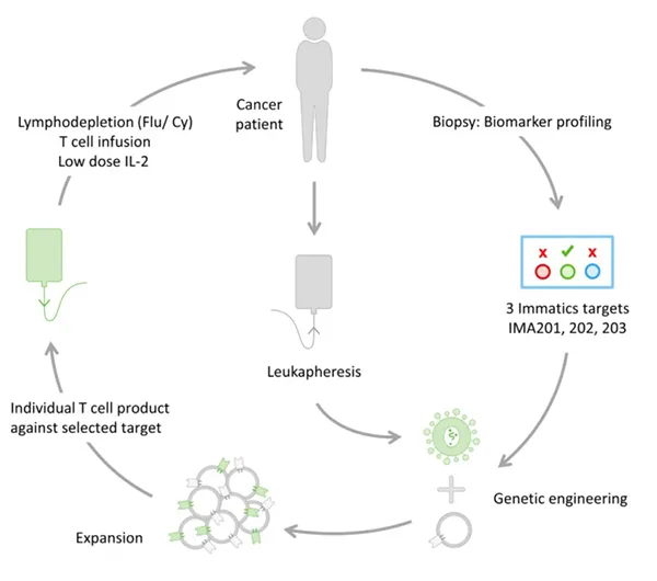 Adoptive Cell Therapies