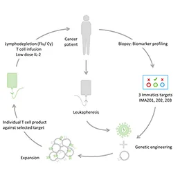 Adoptive Cell Therapies