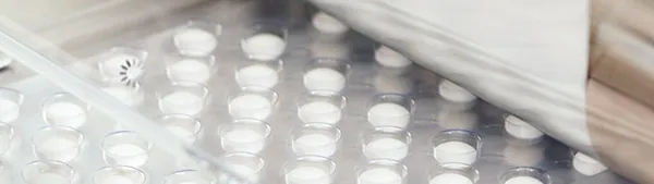Branded Formulations