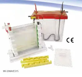 Maxi WAVE Vertical Electrophoresis System