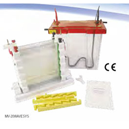 Maxi WAVE Vertical Electrophoresis System