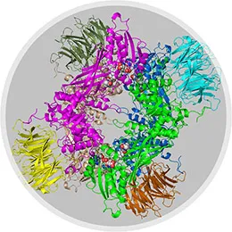 Computational Chemistry