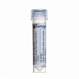 DD Probe 5' ATTO 3' EDQ - 1 probe