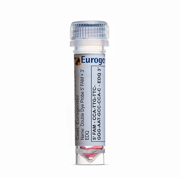 DD Probe 5' FAM 3' EDQ - 1 probe