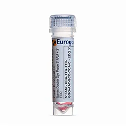 DD Probe 5' FAM 3' EDQ - 1 probe