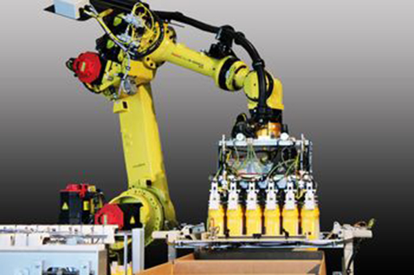 Fully Automated KPac Case Packing Systems Featuring FANUC Robotics