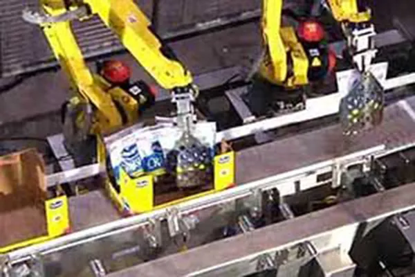 Kaufman Robotic Pouch Palletizing Systems Integrating FANUC Robotics