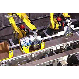 Kaufman Robotic Pouch Palletizing Systems Integrating FANUC Robotics