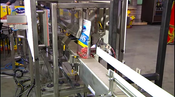 Pouch Case or Tray Packing Systems Utilizing FANUC Robotics
